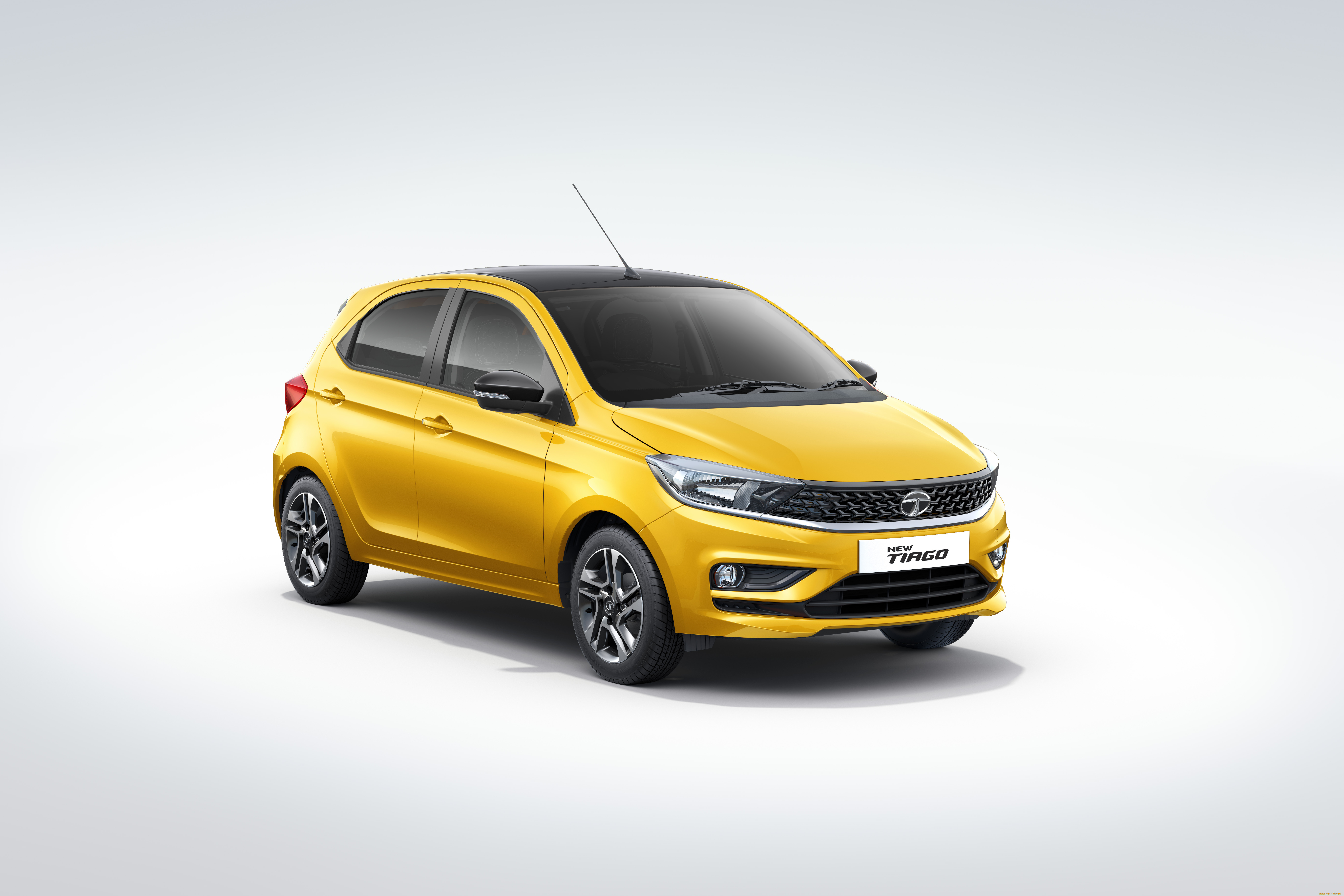 , tata, tiago